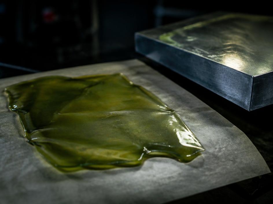 Fresh press rosin sheet on parchment beside a press plate